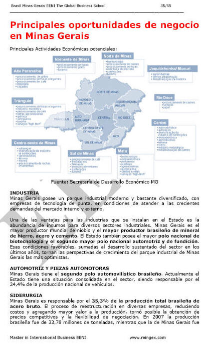 Comercio Exterior y Negocios en Minas Gerais Brasil