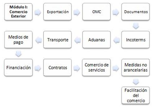 Maestría (master) Online en Comercio Exterior