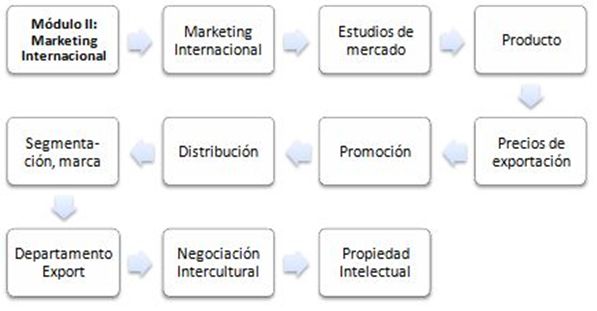 Maestría (master) Online en Marketing Internacional